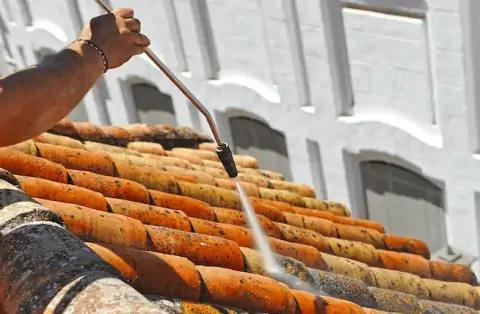 Nettoyage de toitures - Manneville-la-Raoult